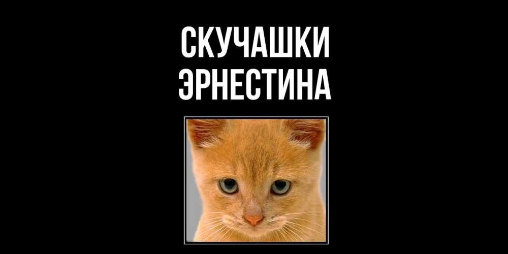 Открытка на каждый день с именем, Эрнестина Скучашки открытки рыжий котенок скучает по тебе Прикольная открытка с пожеланием онлайн скачать бесплатно 