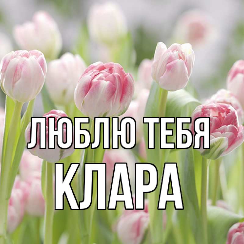 Картинка Люблю тебя, Клара