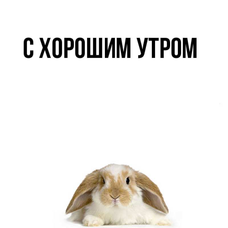 Картинка Я жду тебя, Ваня