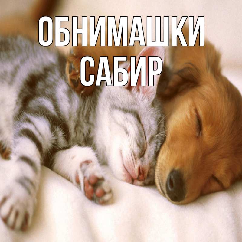 Открытка с именем, Сабир, Обнимашки