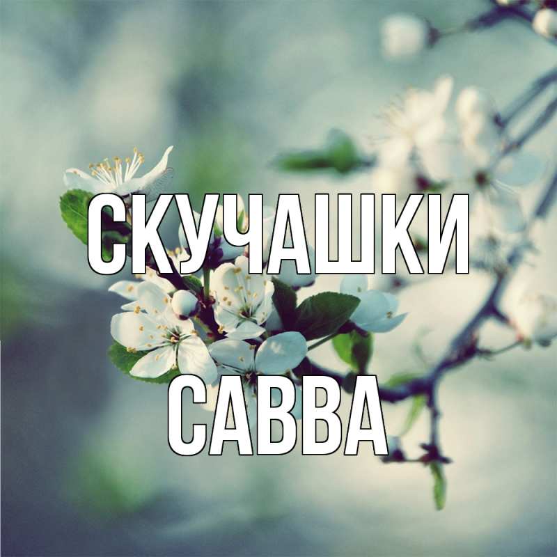 Картинка Скучашки, Савва