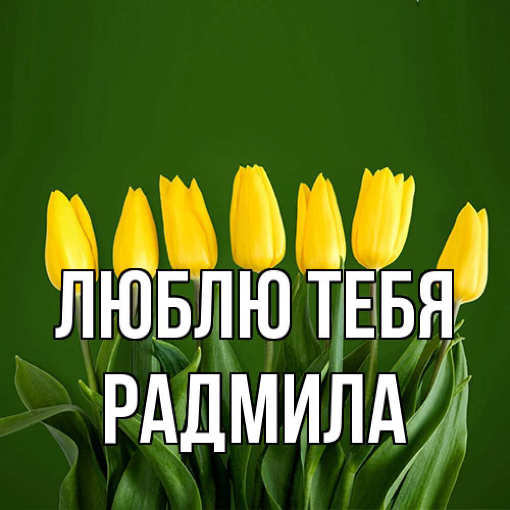 Открытка на каждый день с именем, Радмила Люблю тебя желтого цвета 3 Прикольная открытка с пожеланием онлайн скачать бесплатно 
