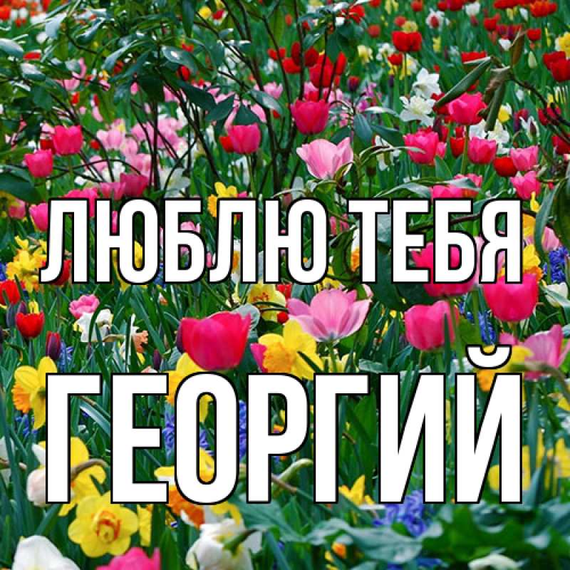 Картинка Люблю тебя, Георгий