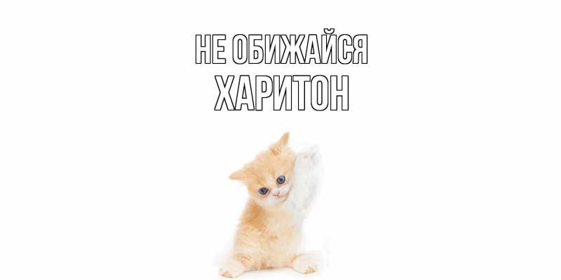 Картинка Не обижайся, Харитон