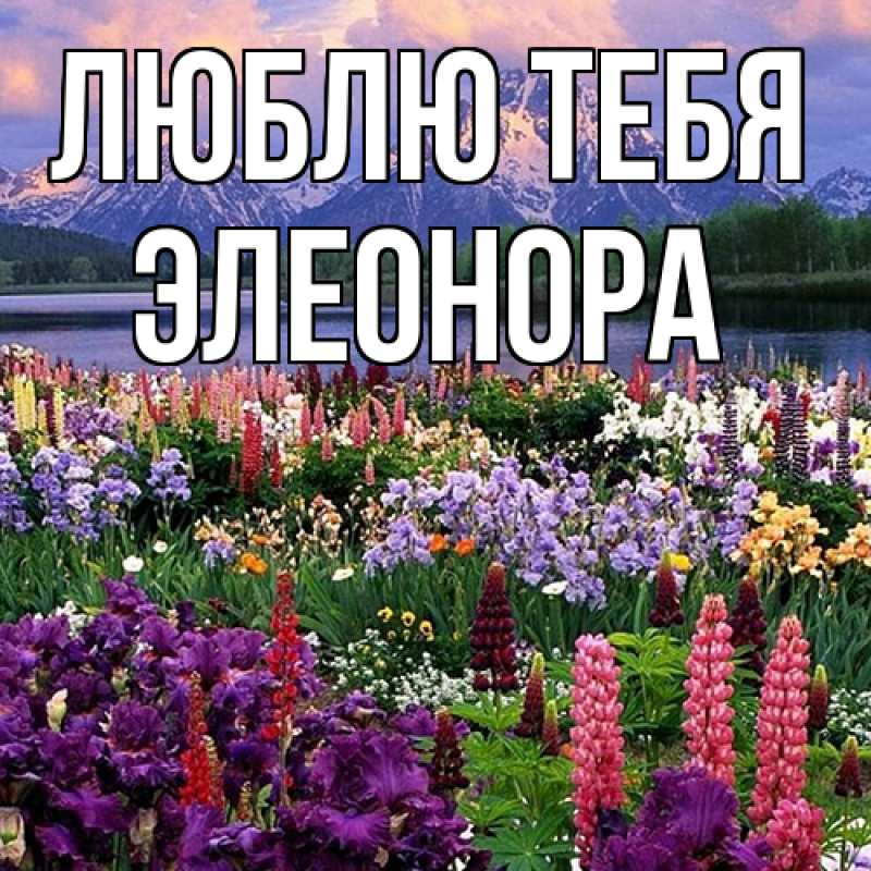 Открытка с именем, Элеонора, Люблю тебя