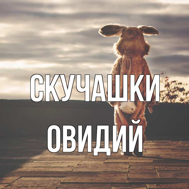 Картинка Скучашки, Овидий