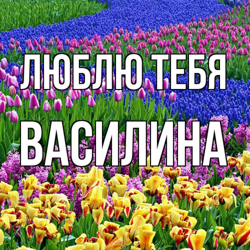 Картинка Люблю тебя, Василина