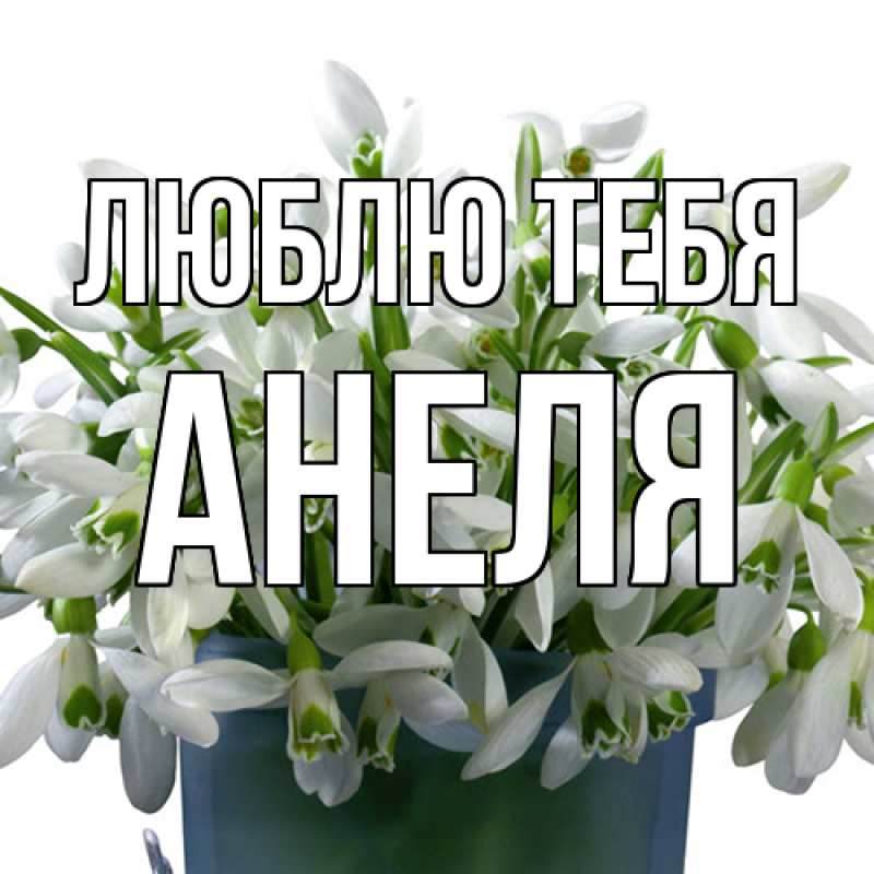 Картинка Люблю тебя, Анеля