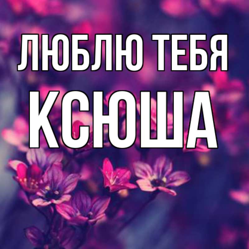 Картинка Люблю тебя, Ксюша