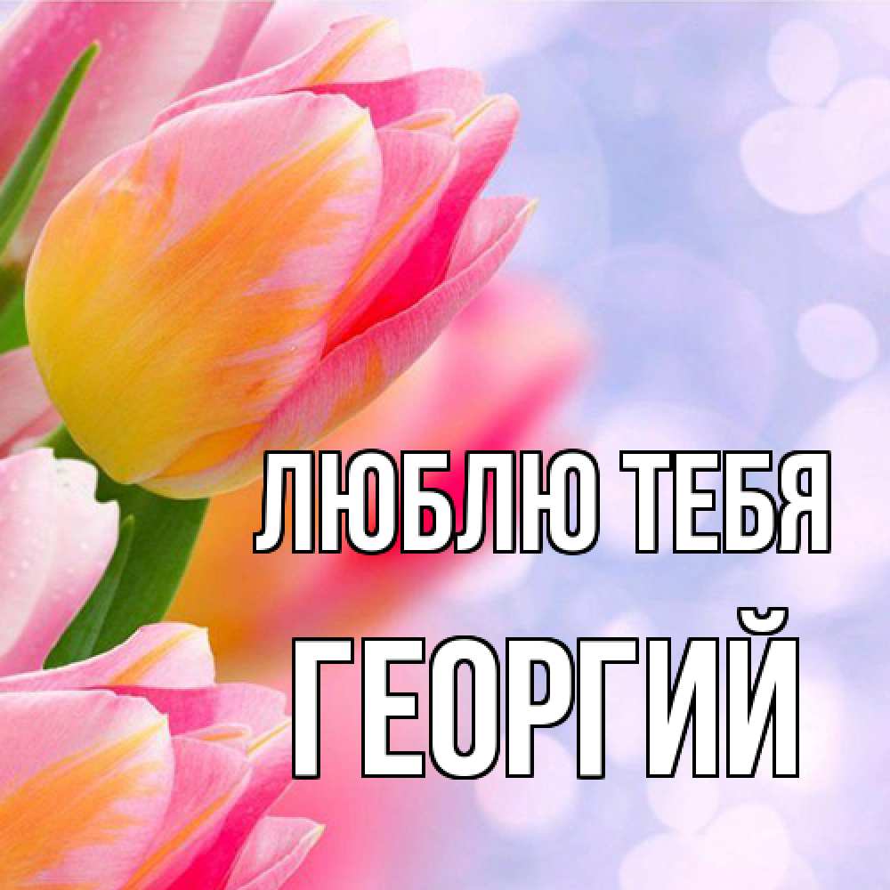 Открытка на каждый день с именем, Георгий Люблю тебя тюльпаны 2 Прикольная открытка с пожеланием онлайн скачать бесплатно 