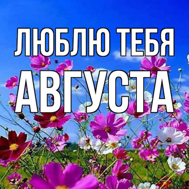 Картинка Люблю тебя, Августа