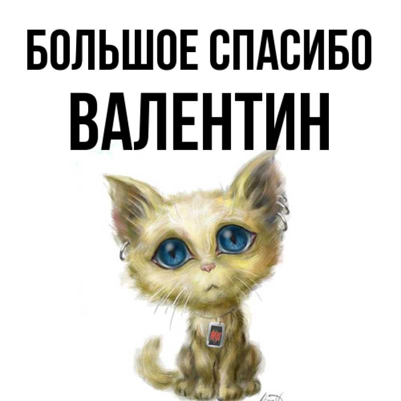 Картинка Большое спасибо, Валентин