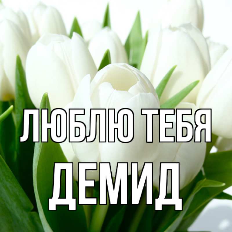 Картинка Люблю тебя, Демид