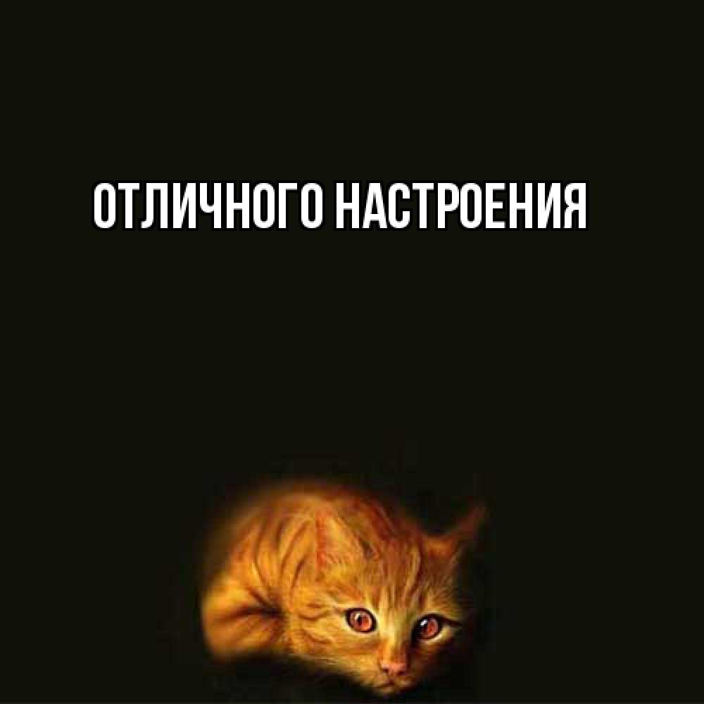 Открытка на каждый день с именем, Киска-моя Я жду тебя рыжий Прикольная открытка с пожеланием онлайн скачать бесплатно 