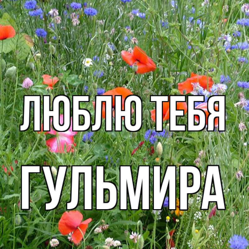 Картинка Люблю тебя, Гульмира
