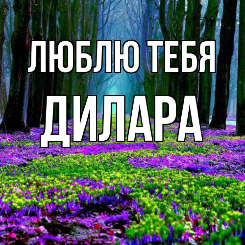 Открытка с именем, Дилара, Люблю тебя