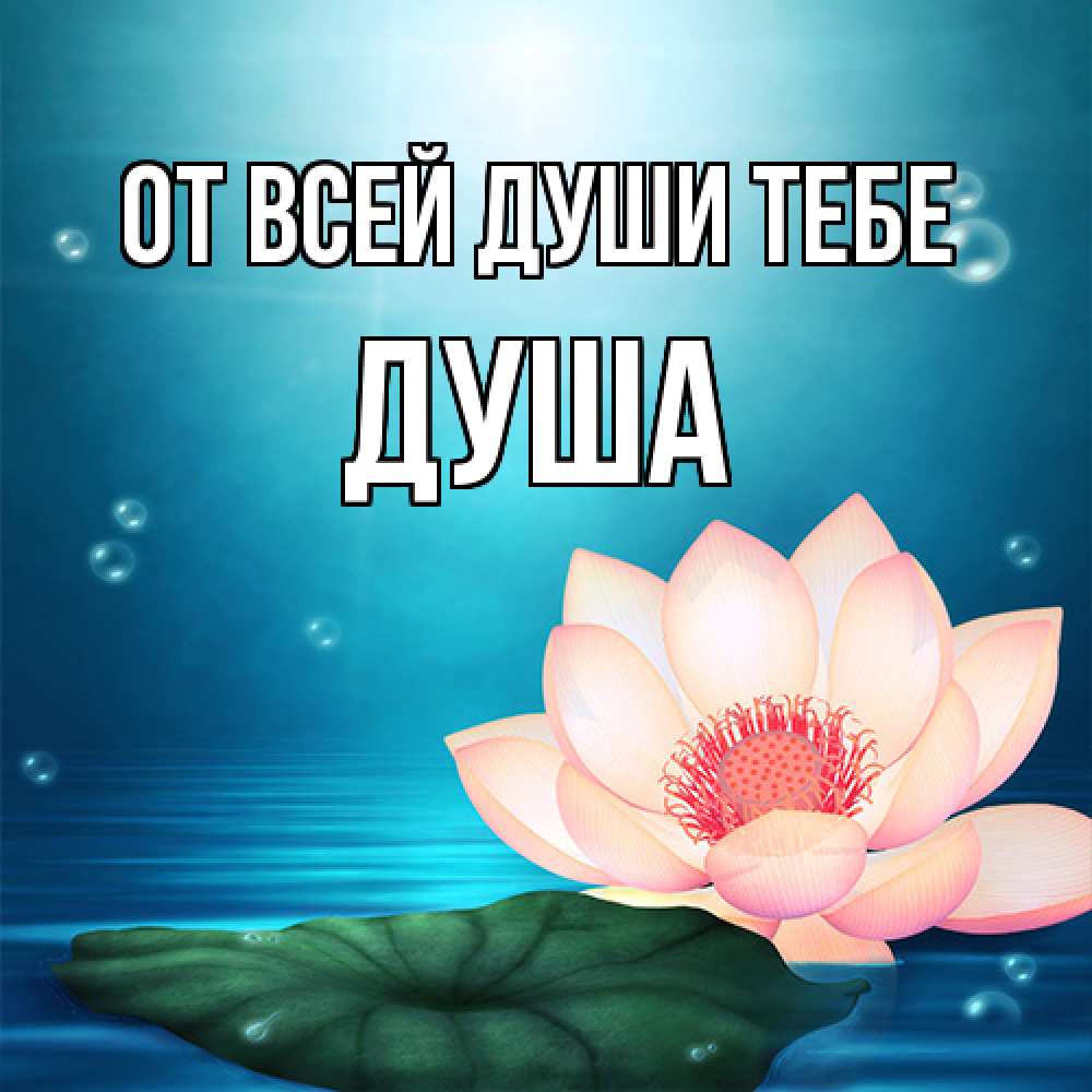 Открытка на каждый день с именем, Душа От всей души тебе кувшинка Прикольная открытка с пожеланием онлайн скачать бесплатно 