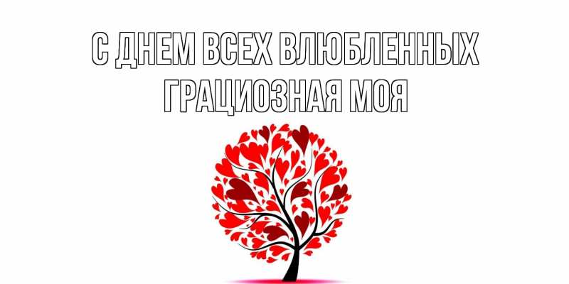 Картинка С днем всех влюбленных, Грациозная моя