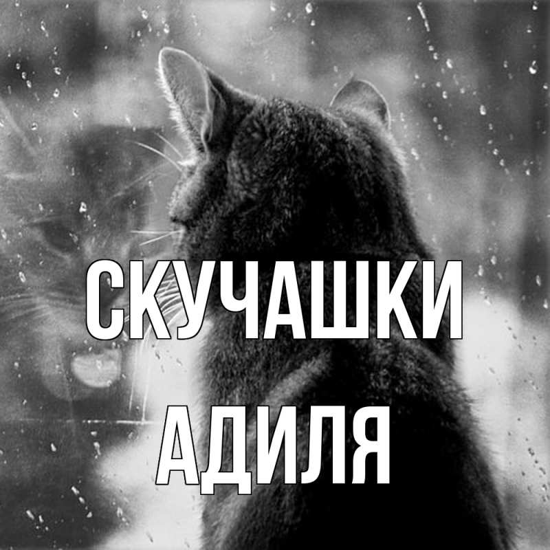 Открытка с именем, Адиля, Скучашки