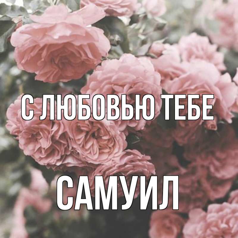 Картинка С любовью тебе, Самуил