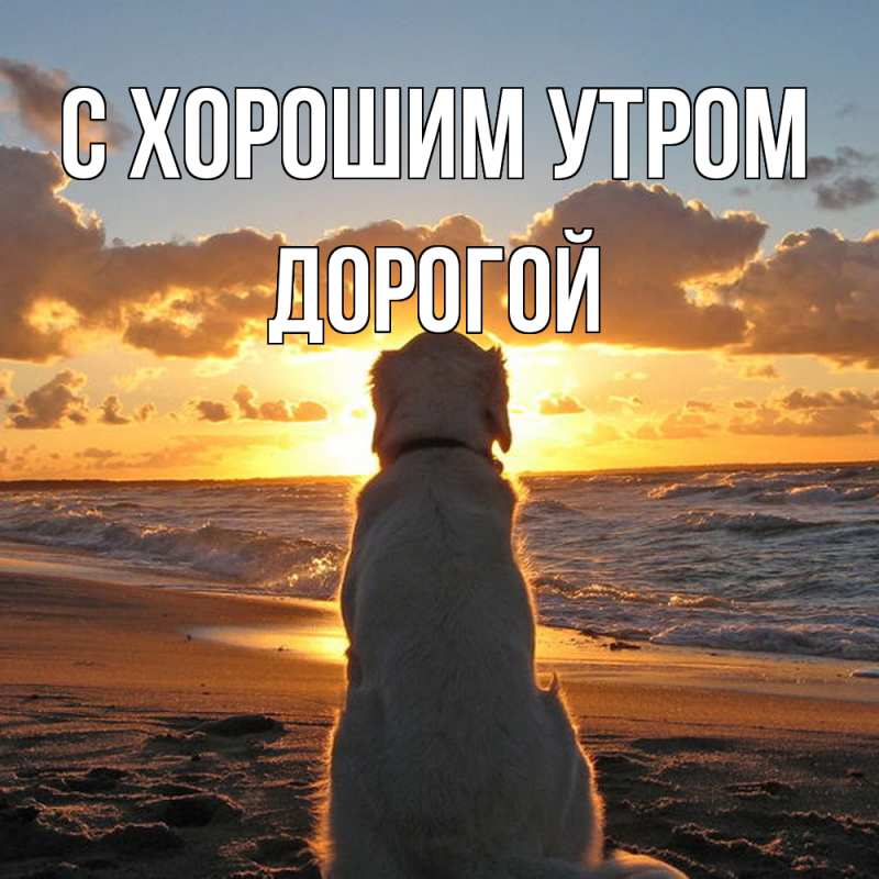 Картинка С хорошим утром, Дорогой