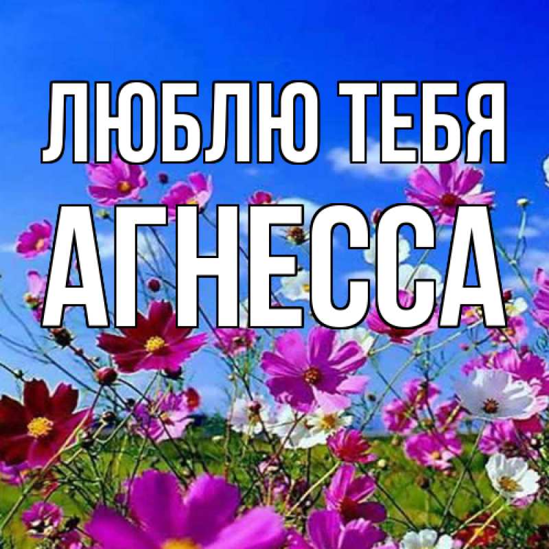 Картинка Люблю тебя, Агнесса