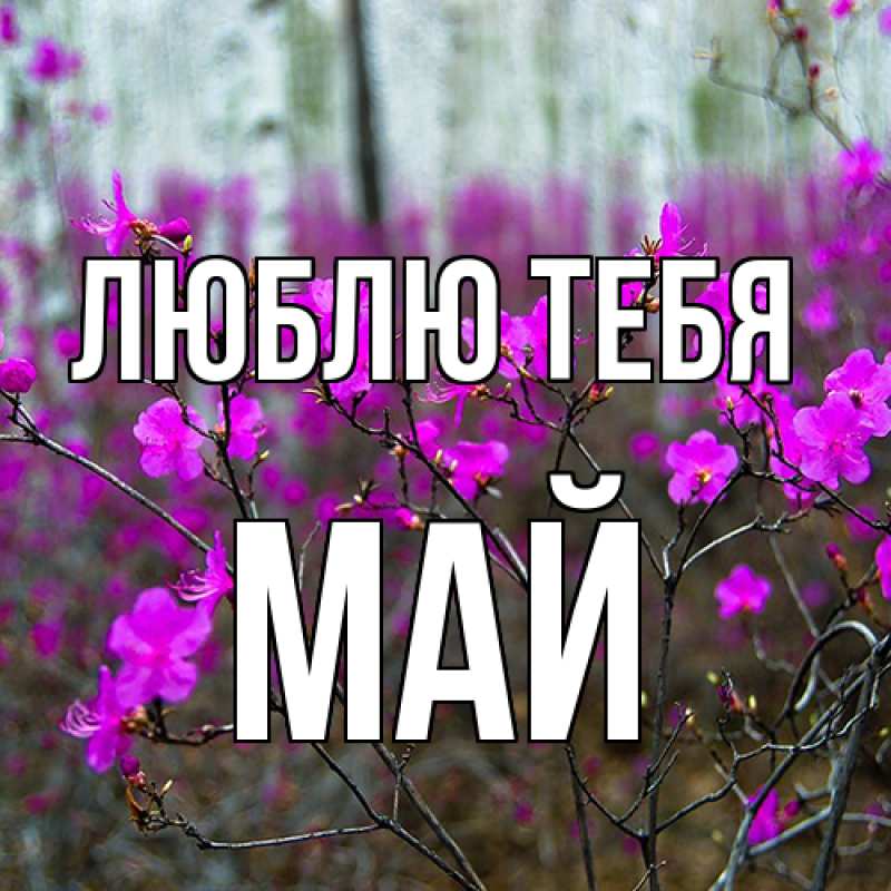 Картинка Люблю тебя, Май