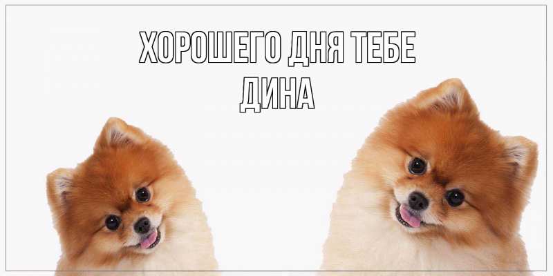 Картинка Хорошего дня тебе, Дина