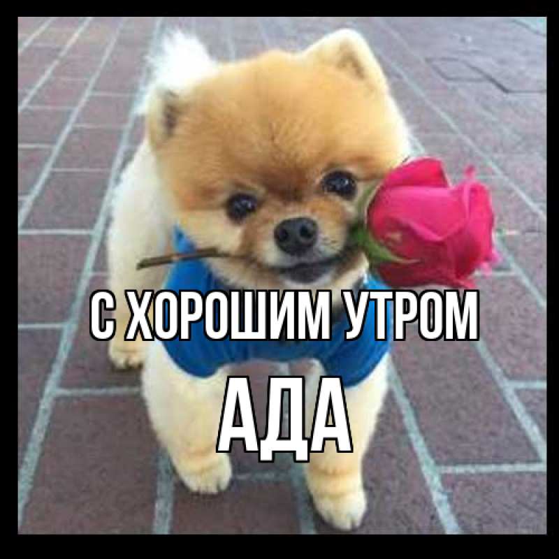 Картинка С хорошим утром, Ада