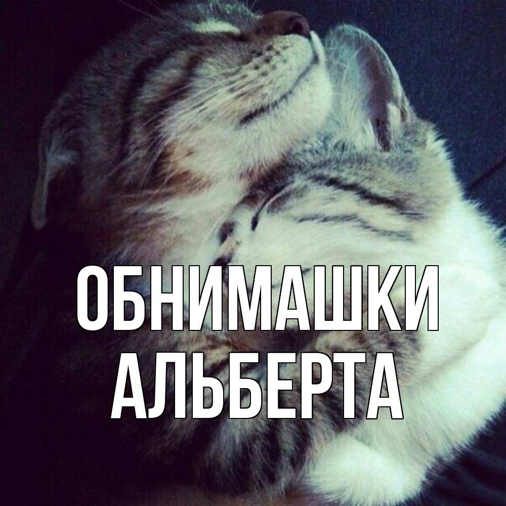 Открытка на каждый день с именем, Альберта Обнимашки полосатики Прикольная открытка с пожеланием онлайн скачать бесплатно 