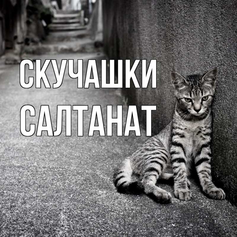 Картинка Скучашки, Салтанат