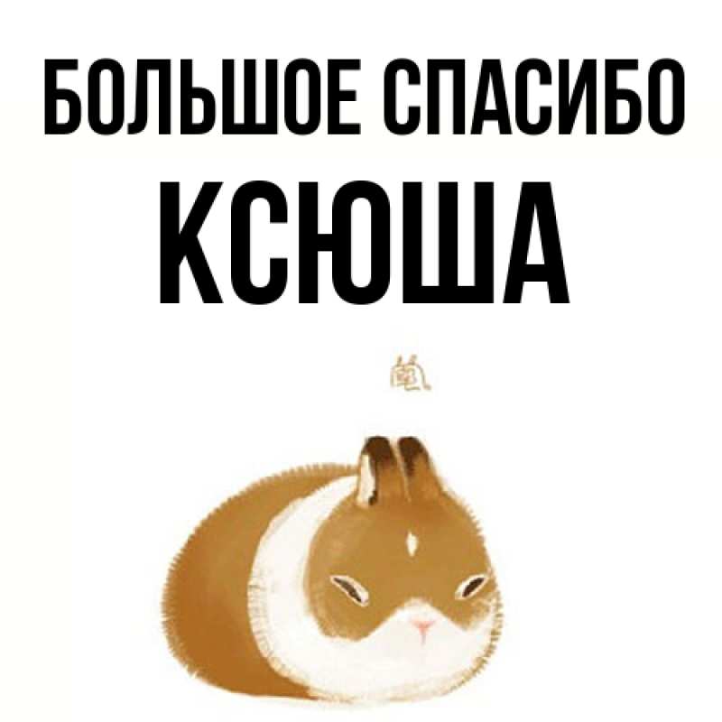 Картинка Большое спасибо, Ксюша