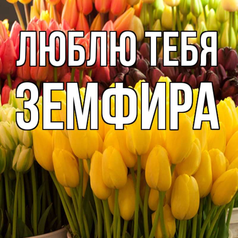 Картинка Люблю тебя, Земфира