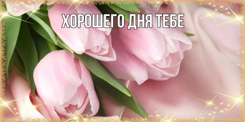 Картинка Люблю тебя, Сократ