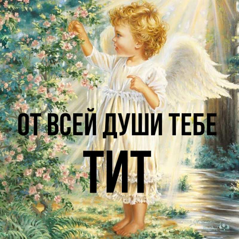 Картинка От всей души тебе, Тит