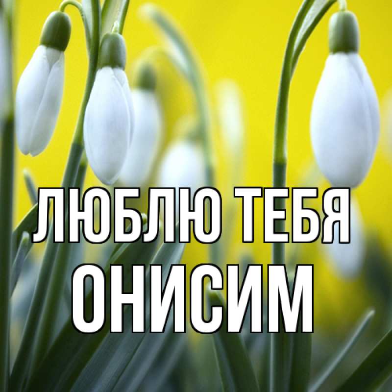 Картинка Люблю тебя, Онисим