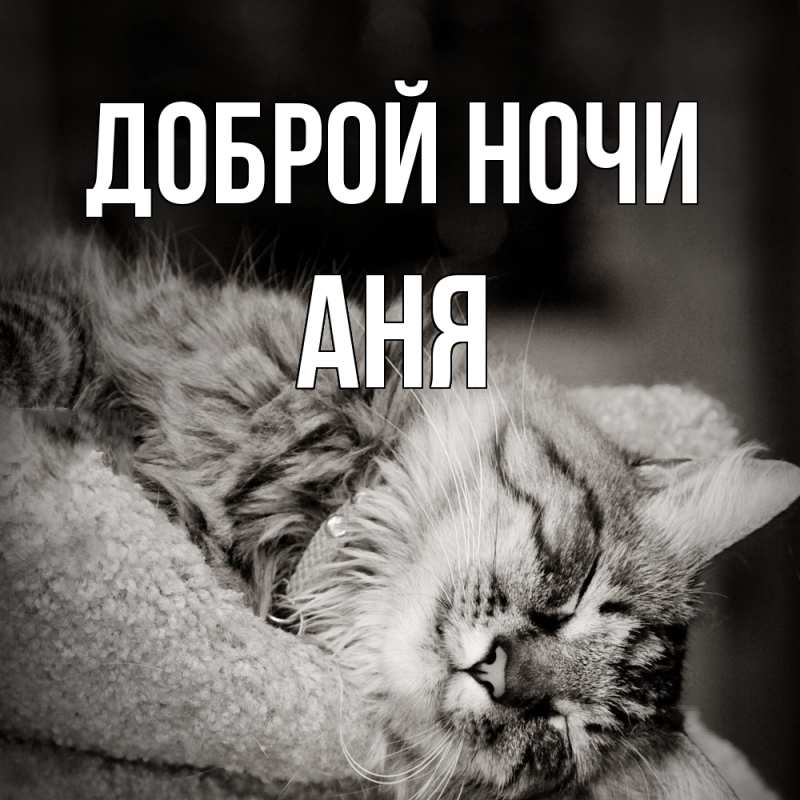 Картинка Доброй ночи, Аня