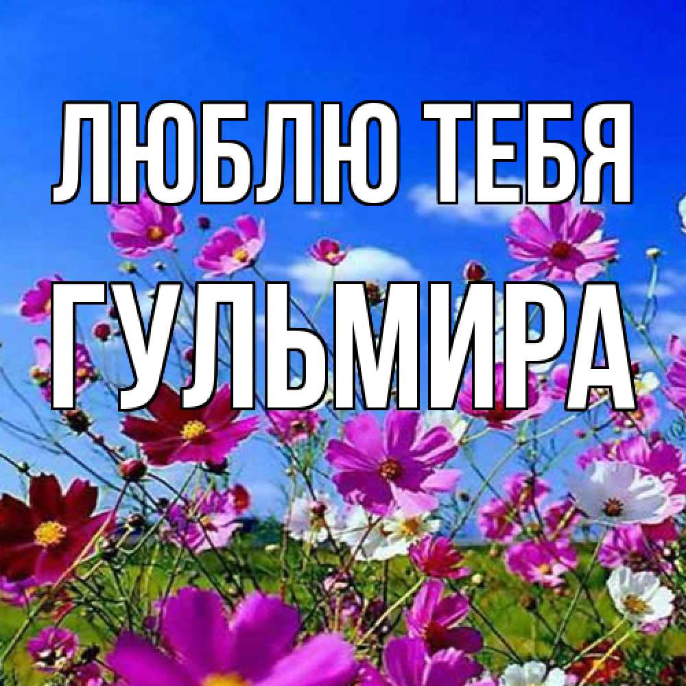 Открытка на каждый день с именем, Гульмира Люблю тебя цветы Прикольная открытка с пожеланием онлайн скачать бесплатно 