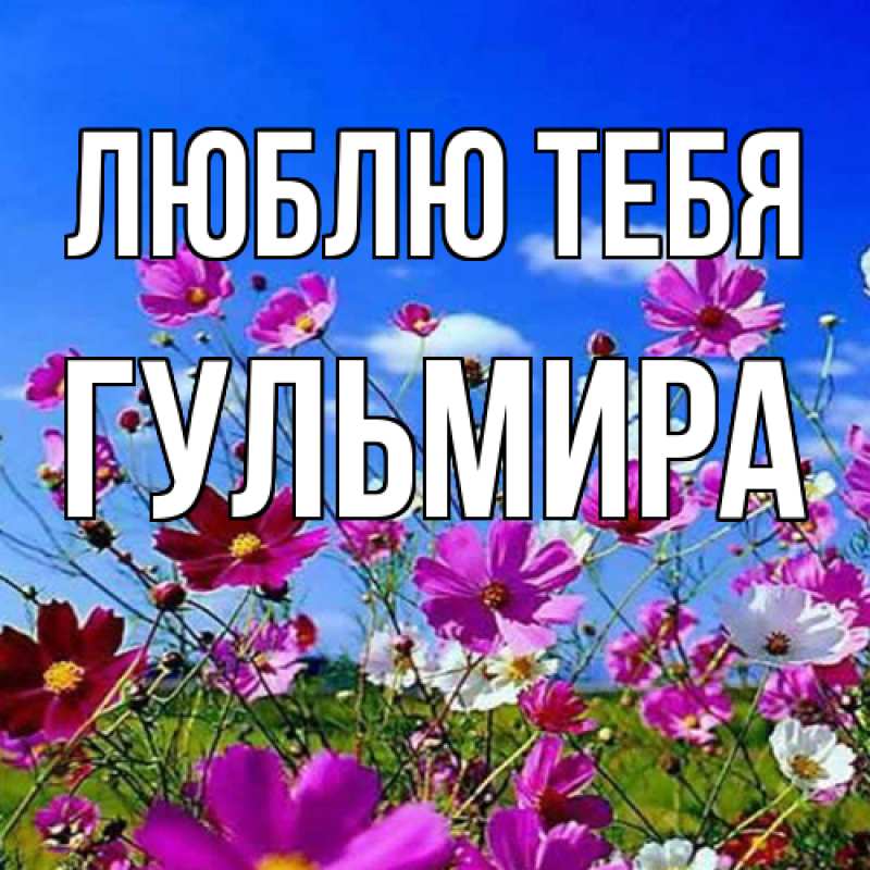 Картинка Люблю тебя, Гульмира