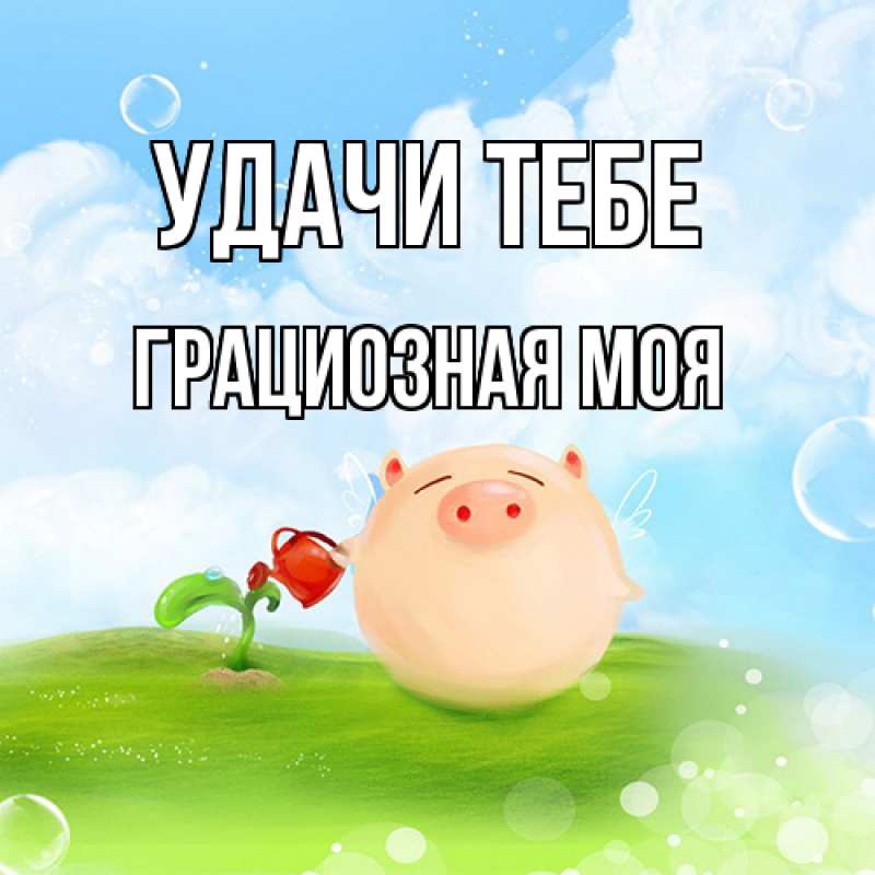 Картинка Удачи тебе, Грациозная моя