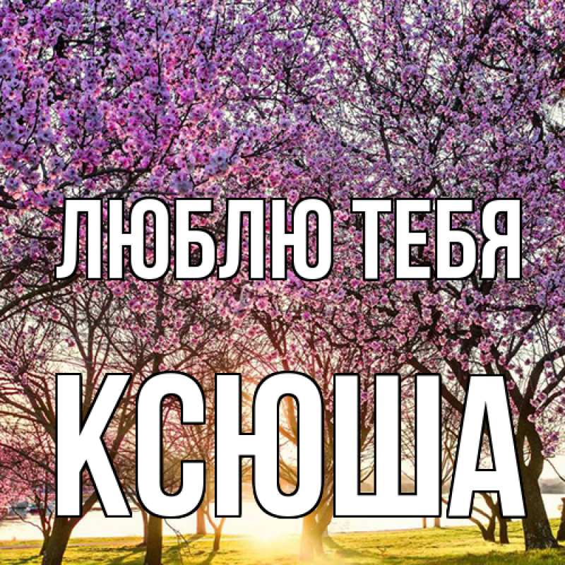 Картинка Люблю тебя, Ксюша