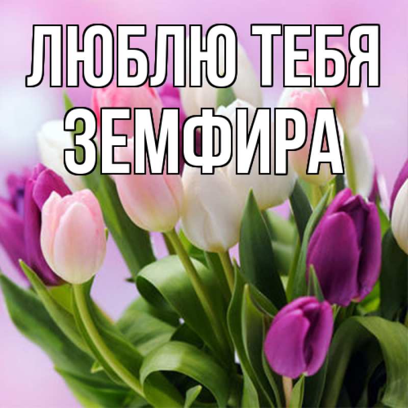 Картинка Люблю тебя, Земфира