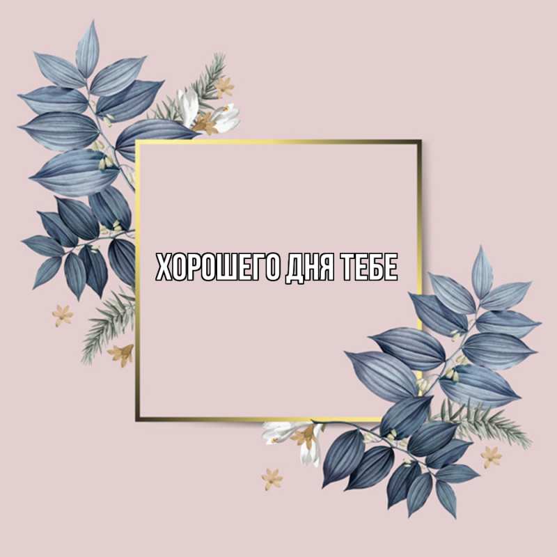 Картинка Удачи тебе, Моника