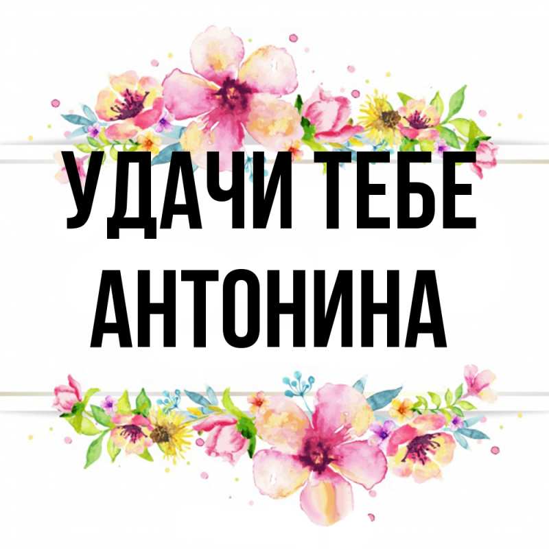 Картинка Удачи тебе, Антонина