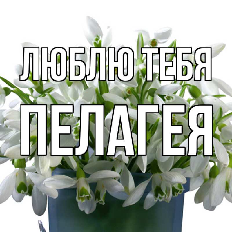 Картинка Люблю тебя, Пелагея