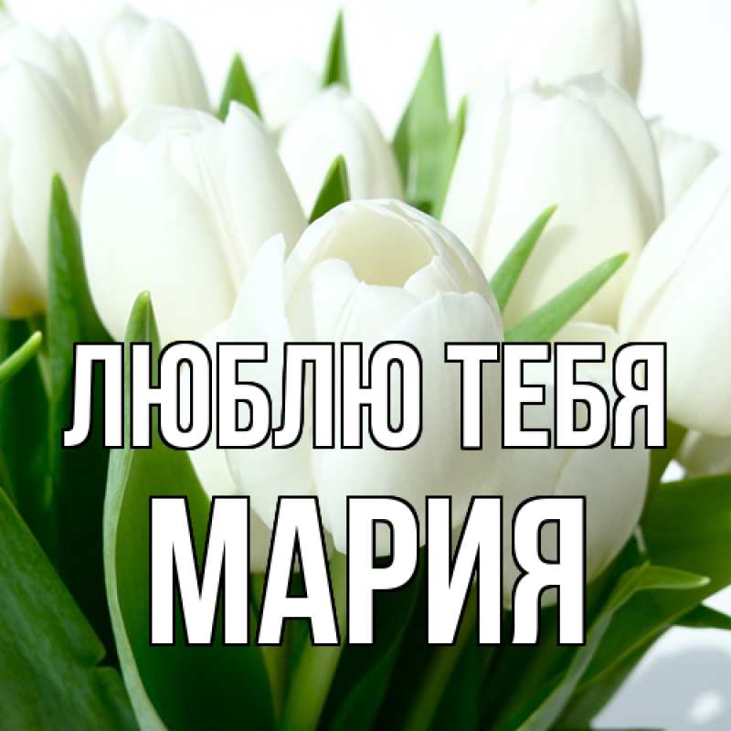 Картинка Люблю тебя, Мария