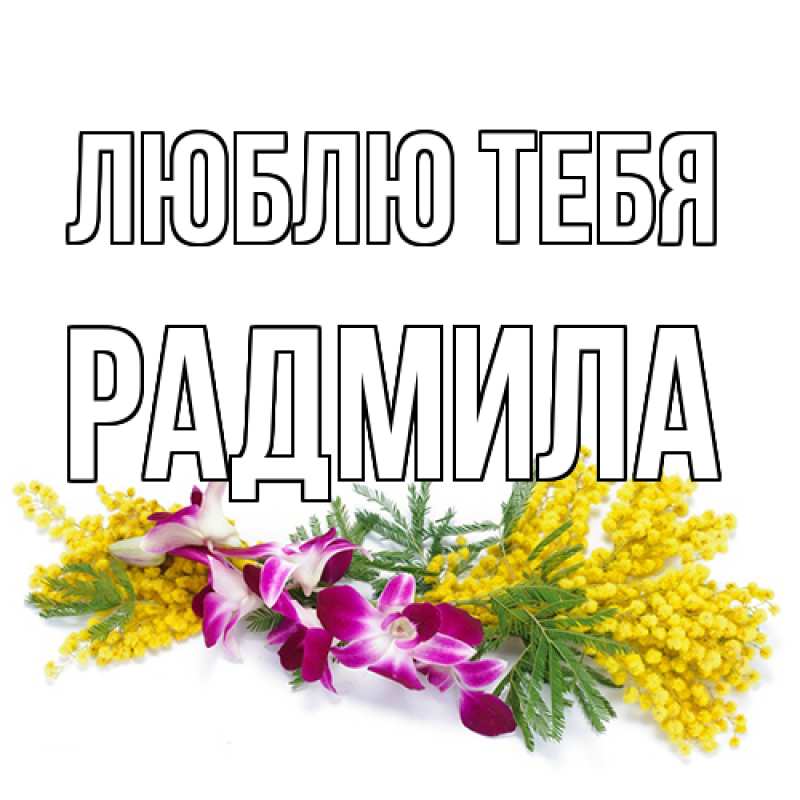 Картинка Люблю тебя, Радмила