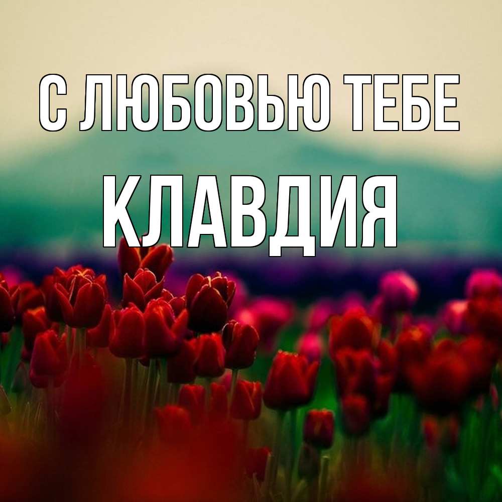 Открытка на каждый день с именем, Клавдия С любовью тебе тюльпаны 4 Прикольная открытка с пожеланием онлайн скачать бесплатно 