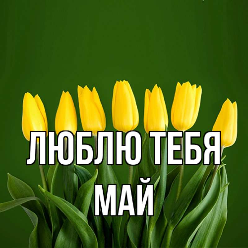 Картинка Люблю тебя, Май