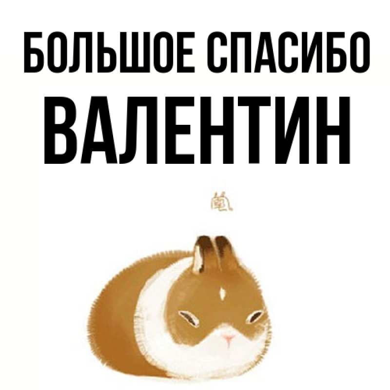 Картинка Большое спасибо, Валентин